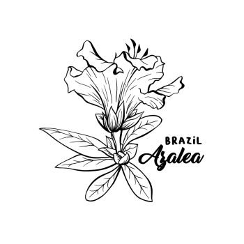 Azalea Flower Brazilian Symbol, ericaceae flowers, hand drawn logo illustration. Beautiful blooming plant inky sketch. Freehand outline floral blossom. Monochrome graphic isolated design element. Azalea, ericaceae flowers ink pen sketch