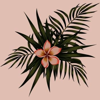 Spring composition frangipani (plumeria) flowers and tropical leaves. Vector botanical print.