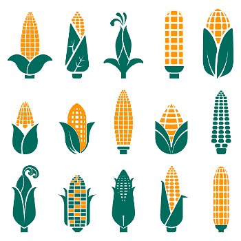 Sweet corn cobs minimal abstract icons set. Cereal grain, food plant, maize logo for farming, grocery market tag, packaging design collection in orange and green colors. Graphic vector illustration.. Sweet corn cobs icons collection in abstract graphic style