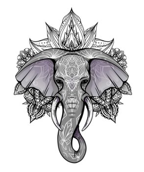 Contour color native elephant head with trunk, tusks and boho ornaments. Ganesha head with mandala. Vector silhouette for print on t-shirt, cards, banners and your creativity.. Contour color native elephant head with trunk, tusks and boho ornaments. Ganesha head with mandala. Vector silhouette