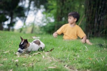 Portrait of happy little boy playing with his adorable puppy.This toddler is so happy to play at the park with his favorite animal.