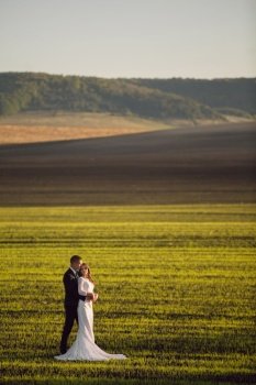 bride in the arms of the groom on a background of spring fields and blue sky. View from afar. marriage.. bride in the arms of the groom on a background of spring fields and blue sky. View from afar. marriage