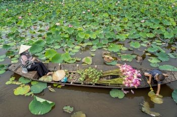 Vietnamese boy playing with mom boating the traditional wooden boat for keep the pink lotus in the big lake at thap muoi, dong thap province, vietnam, culture and life concept