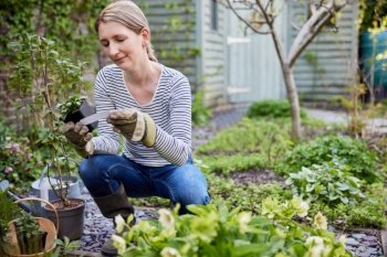 Mature Woman Planting Plants In Garden At Home Reading Label