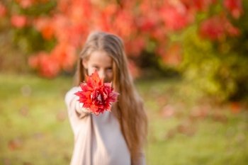 Portrait of adorable little girl with yellow leaves bouquet in fall at autumn park outdoors. Portrait of adorable little girl with yellow leaves bouquet in fall