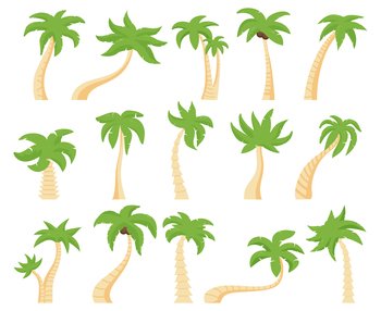 Tropical palms. Green floral palm tree, exotic coconut palm. Exotic hawaiian green palm tree isolated vector illustration set. Tree palm floral, summer exotic tropical plant. Tropical palms. Green floral palm tree, exotic coconut palm. Exotic hawaiian green palm tree isolated vector illustration set