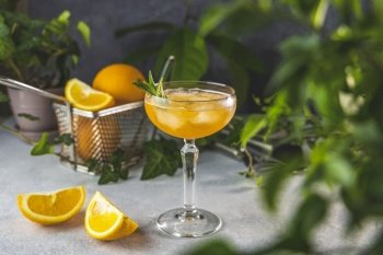 Champagne coupe glass of refreshing orange cocktail with ice served on gray table surface surround of orange fruit and different green plants, shallow depth of the field.