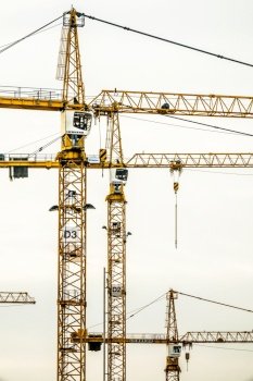 Several building cranes on a building site