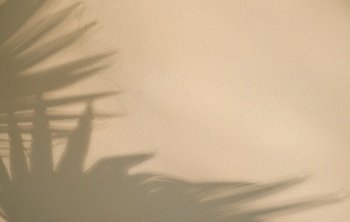 Beige wall with abstract shadow from palm leaves. Background design or minimalistic summer wallpaper idea, flat lay, creative copy space