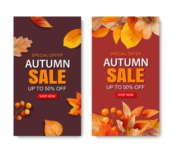Autumn sale banner template background. Autumn shopping sale with leaves and text.