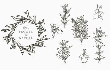Line herbal collection with rosemary.Vector illustration for icon,sticker,printable and tattoo