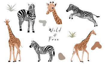 animal object collection with giraffe,zebra.Vector illustration for icon,sticker,printable