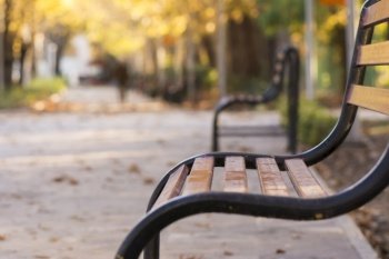 Vintage curvy metal bench, park outdoor autumn scene