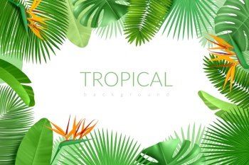 Tropical leaves frame. Realistic summer exotic plants, hawaiian palm background, monstera, banana and cocoa greenery tropic banner vector poster. Tropical leaves frame. Realistic summer exotic plants, hawaiian palm background, monstera, banana and cocoa greenery banner. Vector poster