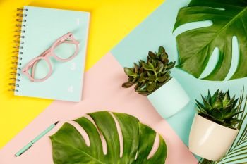 Creative flat lay with plants, glasses, notebook(diary)  and pen on pastel colors background. Succulents on pastel colors background. Flat lay, copy space