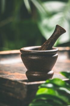 Mortar and pestle on tropical background. Spa or herbal medicine concept. Mortar and pestle on tropical background, close up