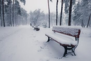 Benches in winter snowy park at morning