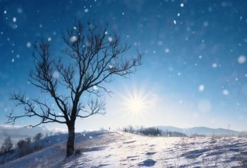 Beautiful winter landscape with snow covered trees and mountains on background. Winter beautiful season scene. Beautiful winter landscape with snow covered trees