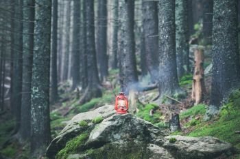 hiking rocky path trail and red vintage lantern in foggy misty moody woodland. hiking rocky path trail in foggy misty moody woodland