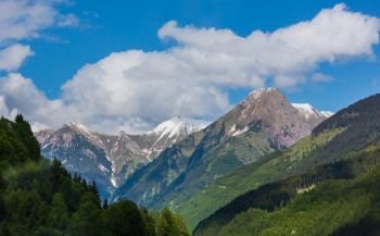 Summer Alps mountain landscape with fir forest on slope and snow covered rocky tops in far, Austria.