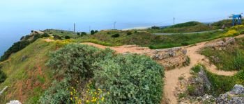 Nazare blossoming coast panorama (Portugal). Misty view.