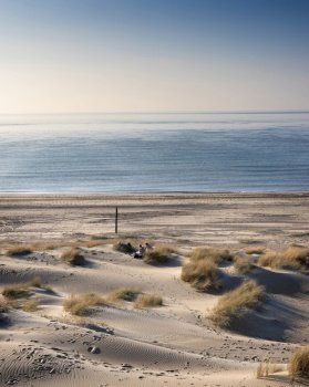 dunes and almost deserted beach on dutch coast near renesse in zeeland under blue sky in spring