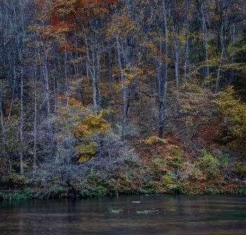 Puchkoriai Landscape Reserve. Golden autumn time near Vilnia river