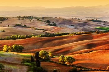 Tuscany countryside landscape at sunrise, Italy. Hilly fields, wavy terrain. Tuscany countryside landscape at sunrise, Italy