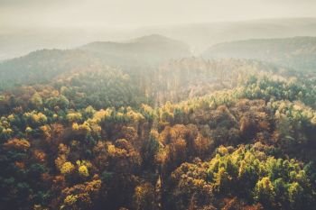 Autumn forest landscape in aerial view. Nature, autumn woods, green environment.. Autumn forest landscape in aerial view.