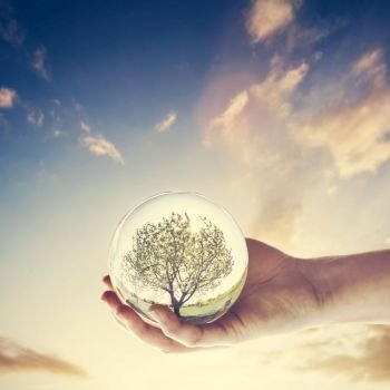 Glass ball with a tree on the sunset sky, held in a hand. Environmental conservation, Earth Day.. Glass ball with a tree on the sunset sky