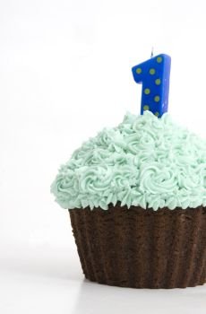 Green Icing Cupcake on white background studio