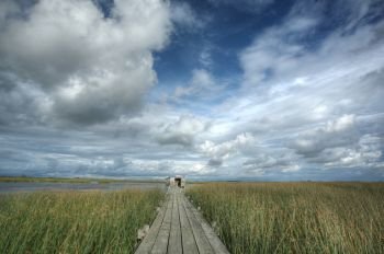 Scenic view of Saskatchewan marshes