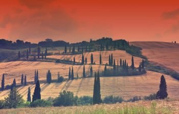 Panoramic view of a spring day in the Italian rural landscape. Tuscany.