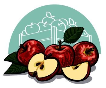 ripe red apples