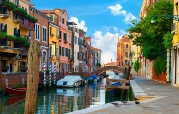 Colorful houses of Venice at summer morning