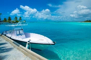 Beautiful tropical Maldives island with beach , sea , and coconut palm tree on blue sky 