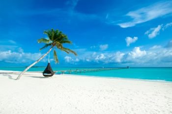 tropical Maldives island with white sandy beach and sea