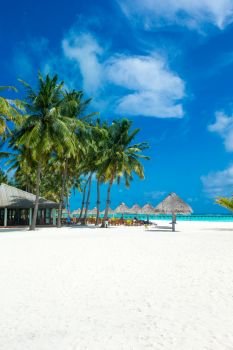 tropical Maldives island with white sandy beach and sea