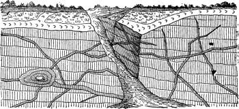 Example eruptive veins through the stratified rocks, vintage engraved illustration. Earth before man a€“ 1886.