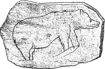 Drawing of great Bears on a stone collected in the cave of Massat., vintage engraved illustration. From Natural Creation and Living Beings.