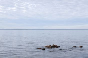 Seascape witth stones in a calm water by the coast of the swedish island Oland in the Baltic Sea
