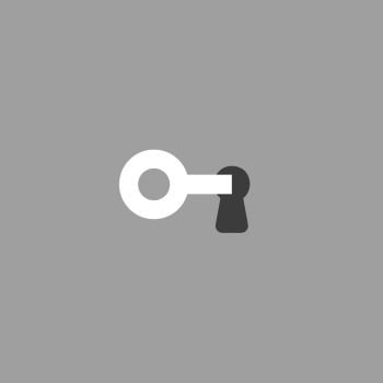Flat vector icon concept of key into keylock on grey background.