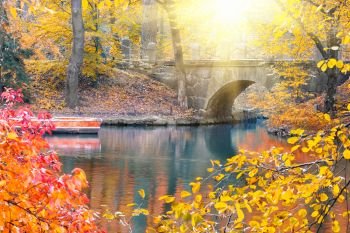 Stone bridge in a park in the autumn under a bright sun. Autumn landscape.. Stone bridge in a park in the autumn under a bright sun
