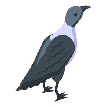 Young raven icon isometric vector. Crow bird. Beak fly. Young raven icon isometric vector. Crow bird