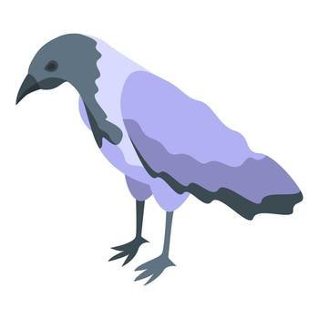 White black crow icon isometric vector. Raven bird. Nature animal. White black crow icon isometric vector. Raven bird