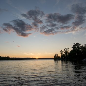 Silhouette of trees at the lakeside, Lake of The Woods, Ontario, Canada