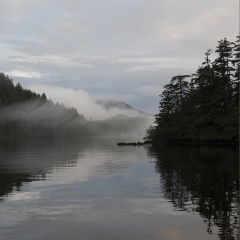 View of foggy coast, Skeena-Queen Charlotte Regional District, Haida Gwaii, Graham Island, British Columbia, Canada