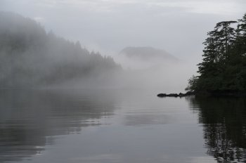 Reflection of trees on water, Skeena-Queen Charlotte Regional District, Haida Gwaii, Graham Island, British Columbia, Canada