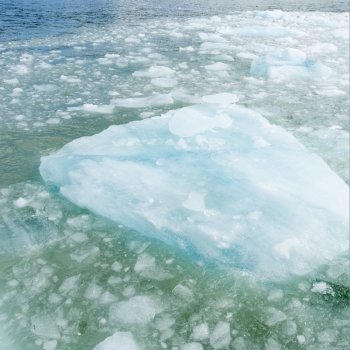 Iceberg in lake, Grey Glacier, Grey Lake, Torres del Paine National Park, Patagonia, Chile