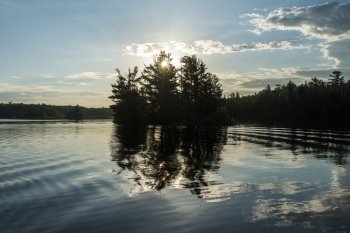 Reflection of trees on water at sunrise, Lake Of The Woods, Ontario, Canada